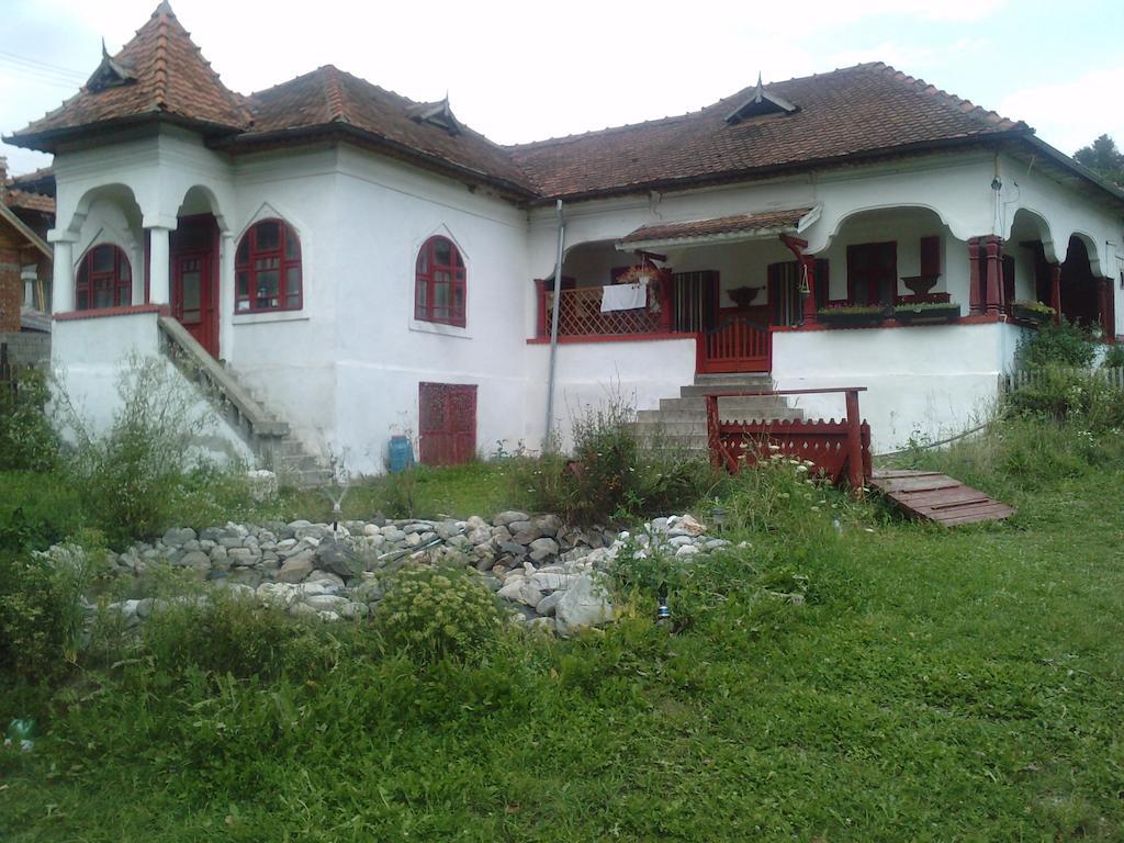 Surasul Muntelui Apartment Dragoslavele Exterior photo